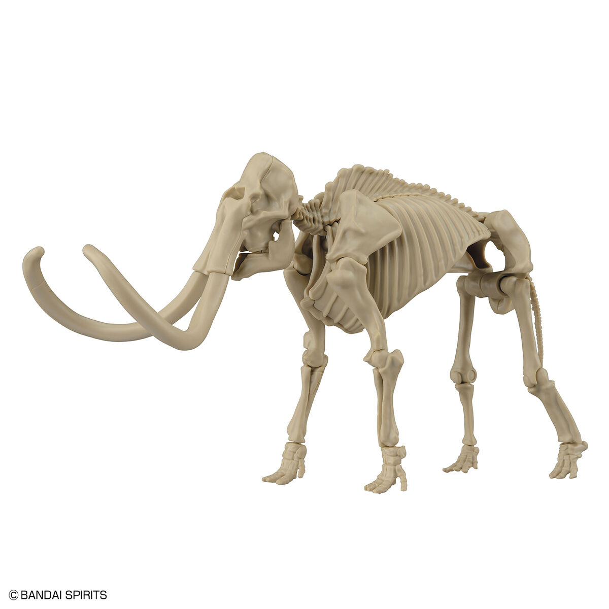 Exploring Lab Nature - Mammouth - Préhistorique – Image 4