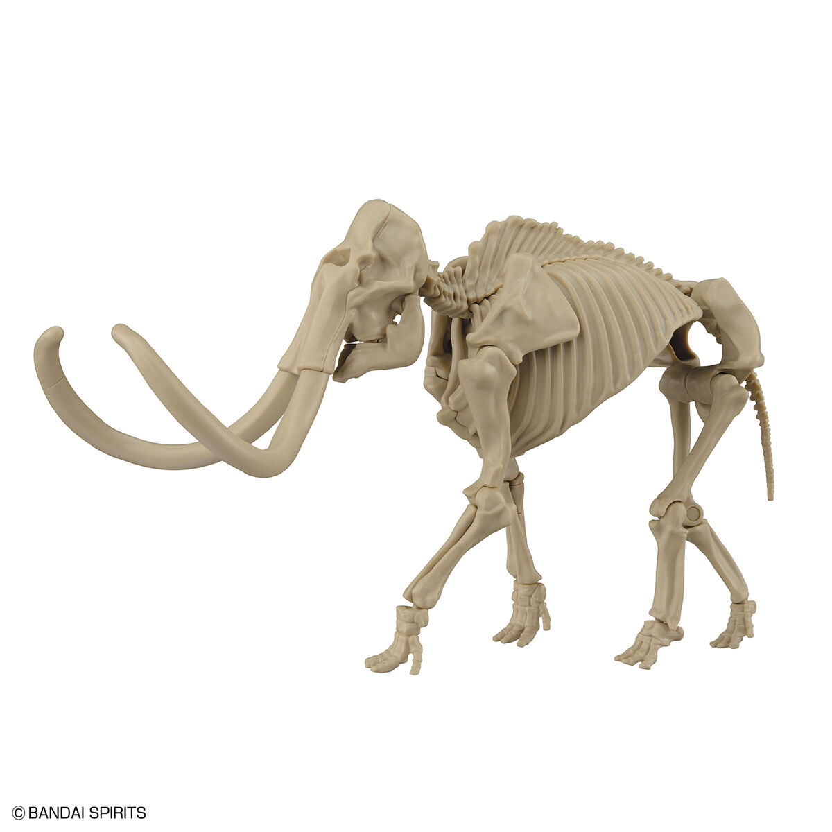 Exploring Lab Nature - Mammouth - Préhistorique – Image 5