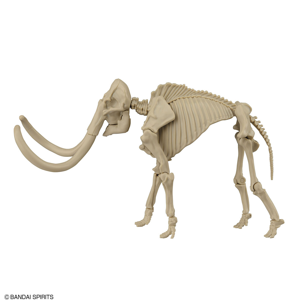 Exploring Lab Nature - Mammouth - Préhistorique – Image 6