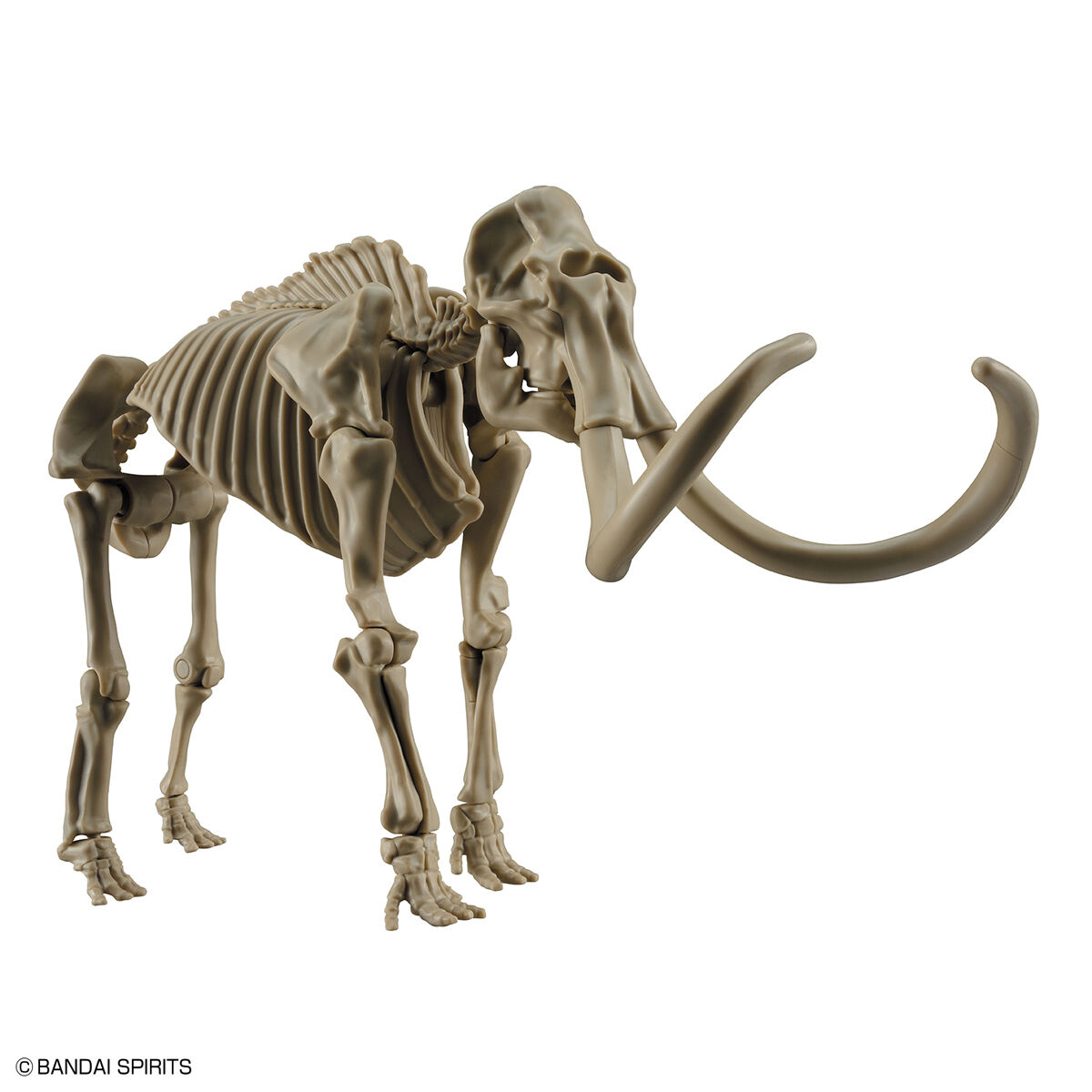 Exploring Lab Nature - Mammouth - Préhistorique – Image 7