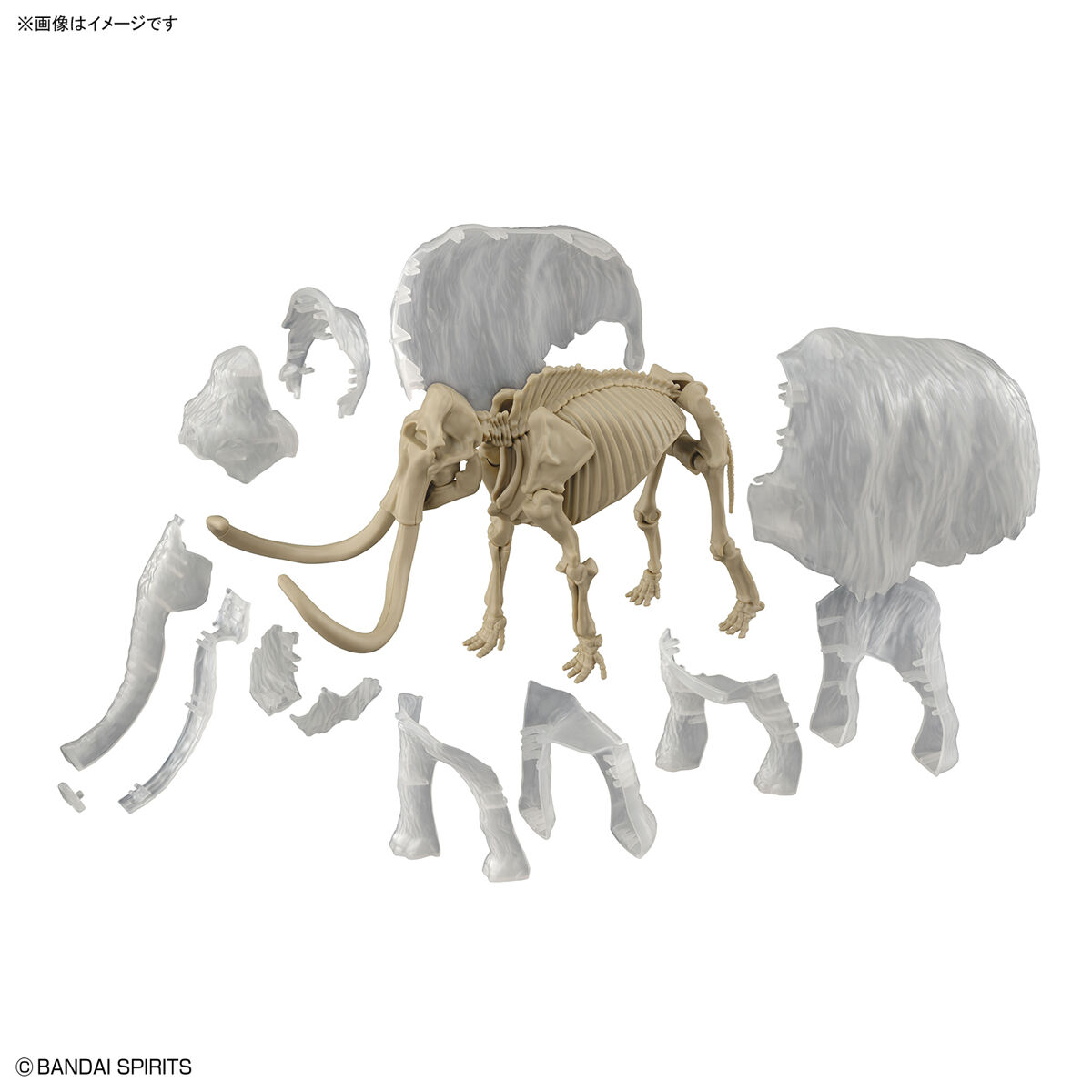 Exploring Lab Nature - Mammouth - Préhistorique – Image 10