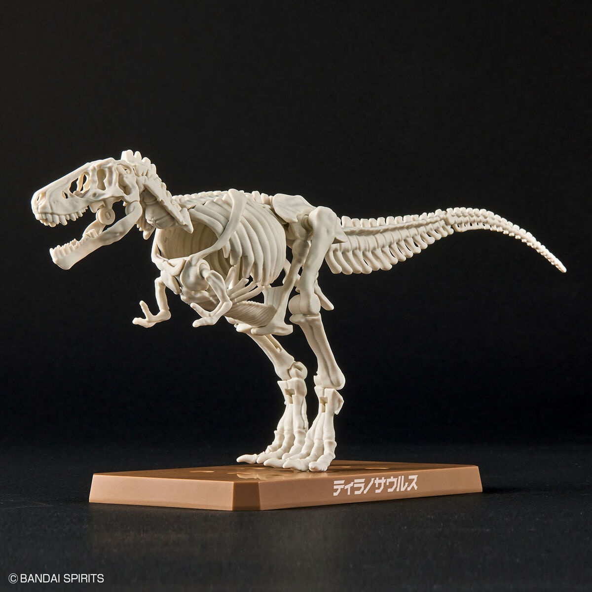 Plannosaurus - Tyrannosaurus - Préhistorique – Image 6