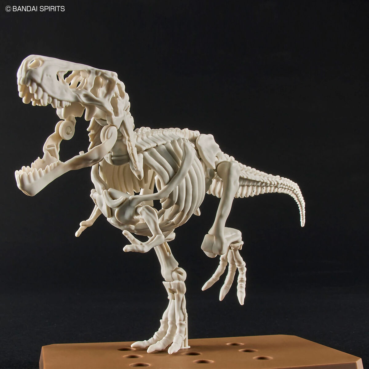 Plannosaurus - Tyrannosaurus - Préhistorique – Image 7