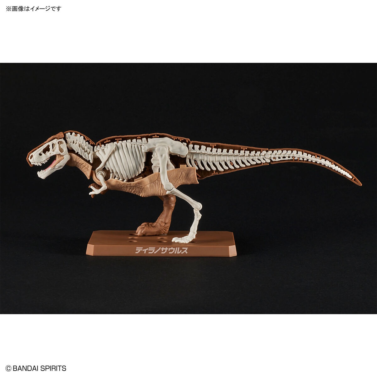 Plannosaurus - Tyrannosaurus - Préhistorique – Image 8