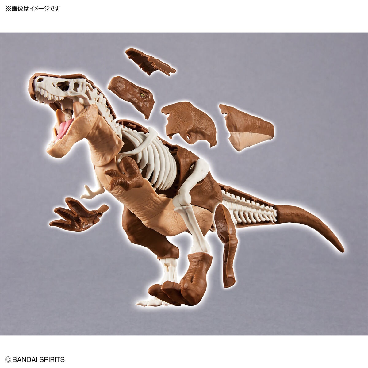 Plannosaurus - Tyrannosaurus - Préhistorique – Image 9