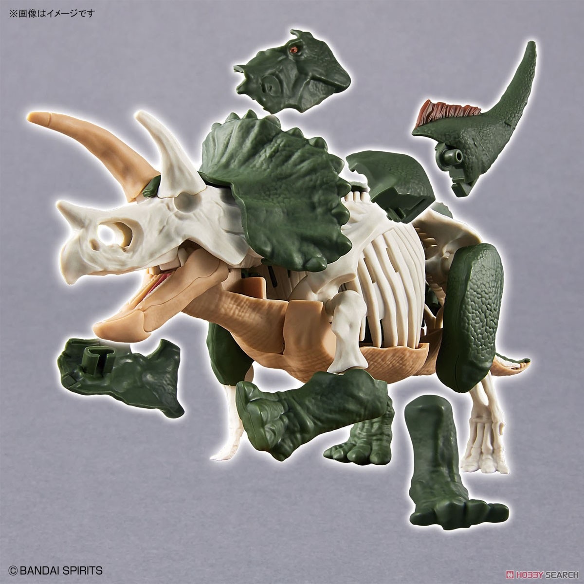Plannosaurus - Triceratops - Préhistorique – Image 2