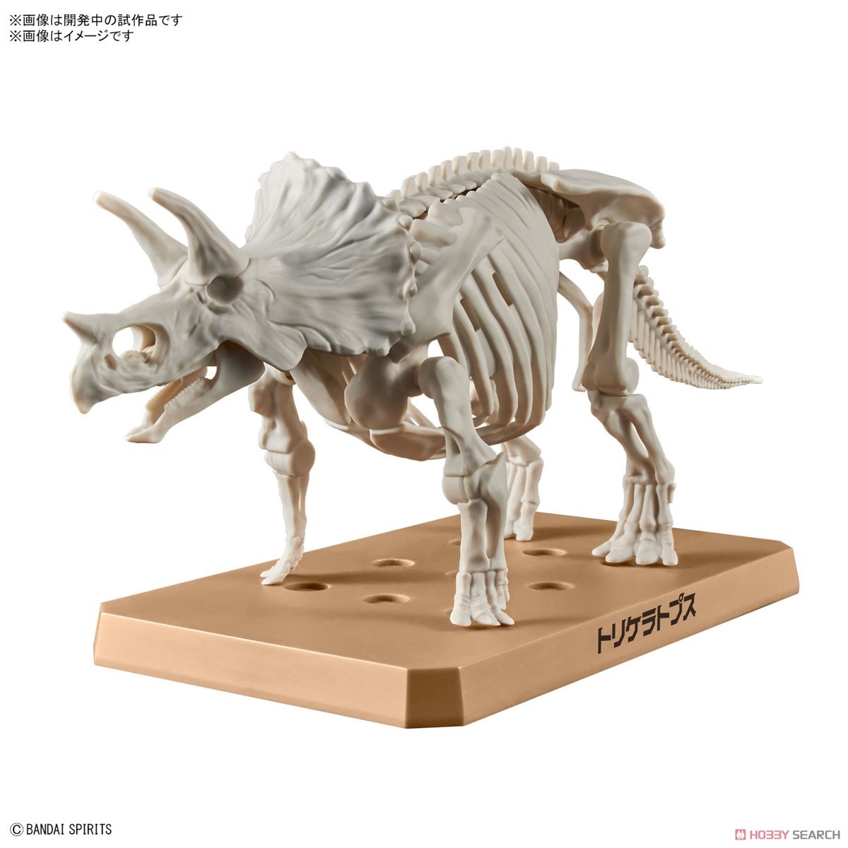 Plannosaurus - Triceratops - Préhistorique – Image 3