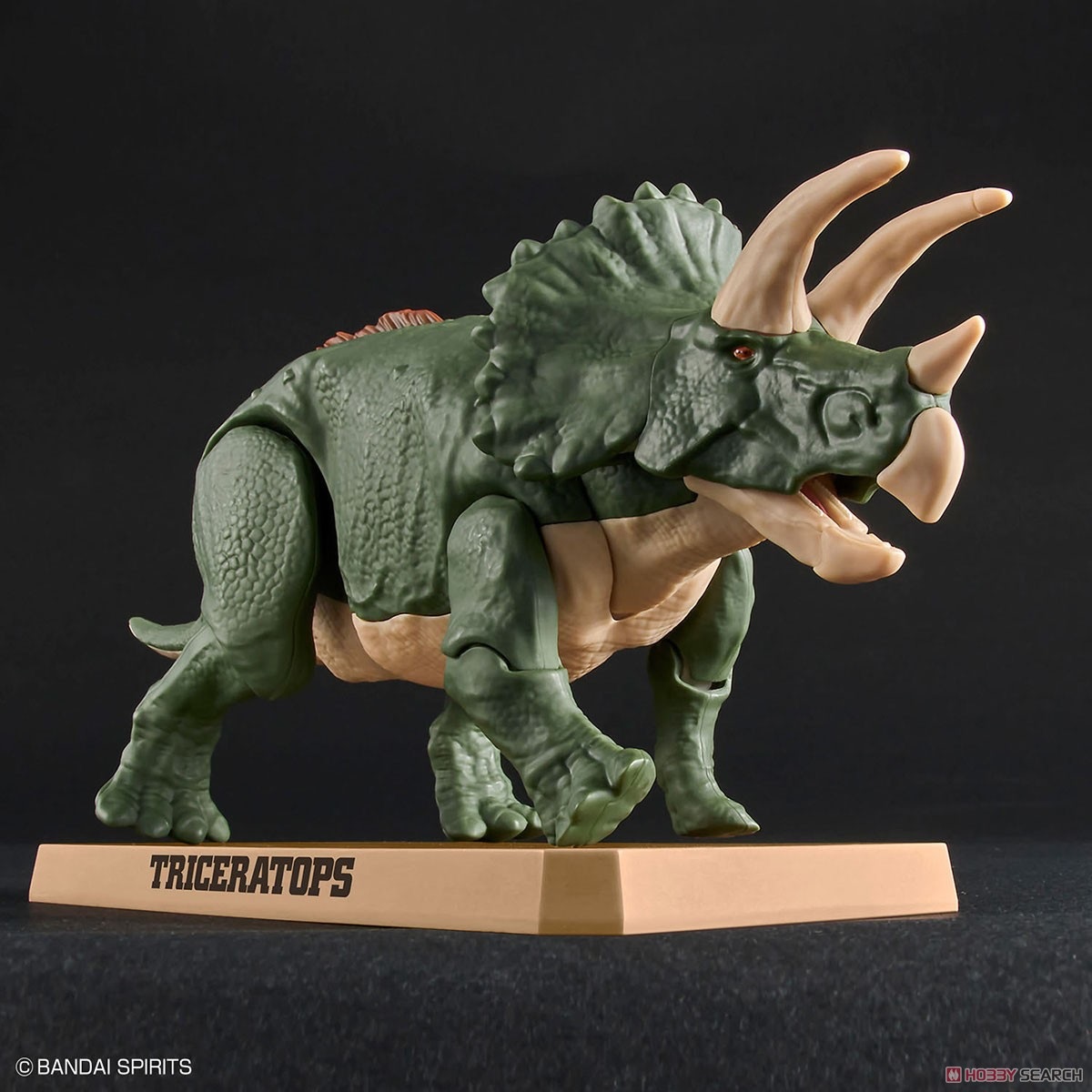 Plannosaurus - Triceratops - Préhistorique – Image 4