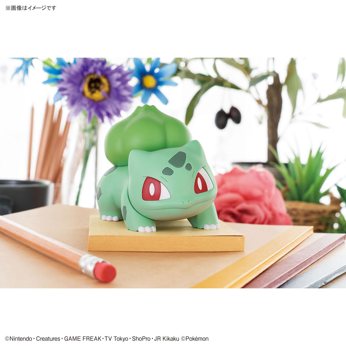 Pokepla Quick - Bulbizarre (n°13) - Pokemon – Image 9