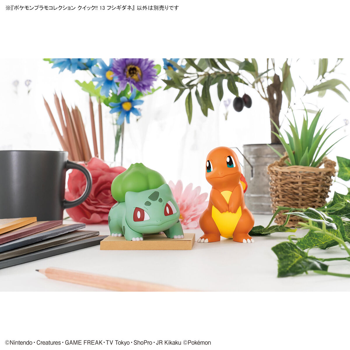 Pokepla Quick - Bulbizarre (n°13) - Pokemon – Image 10
