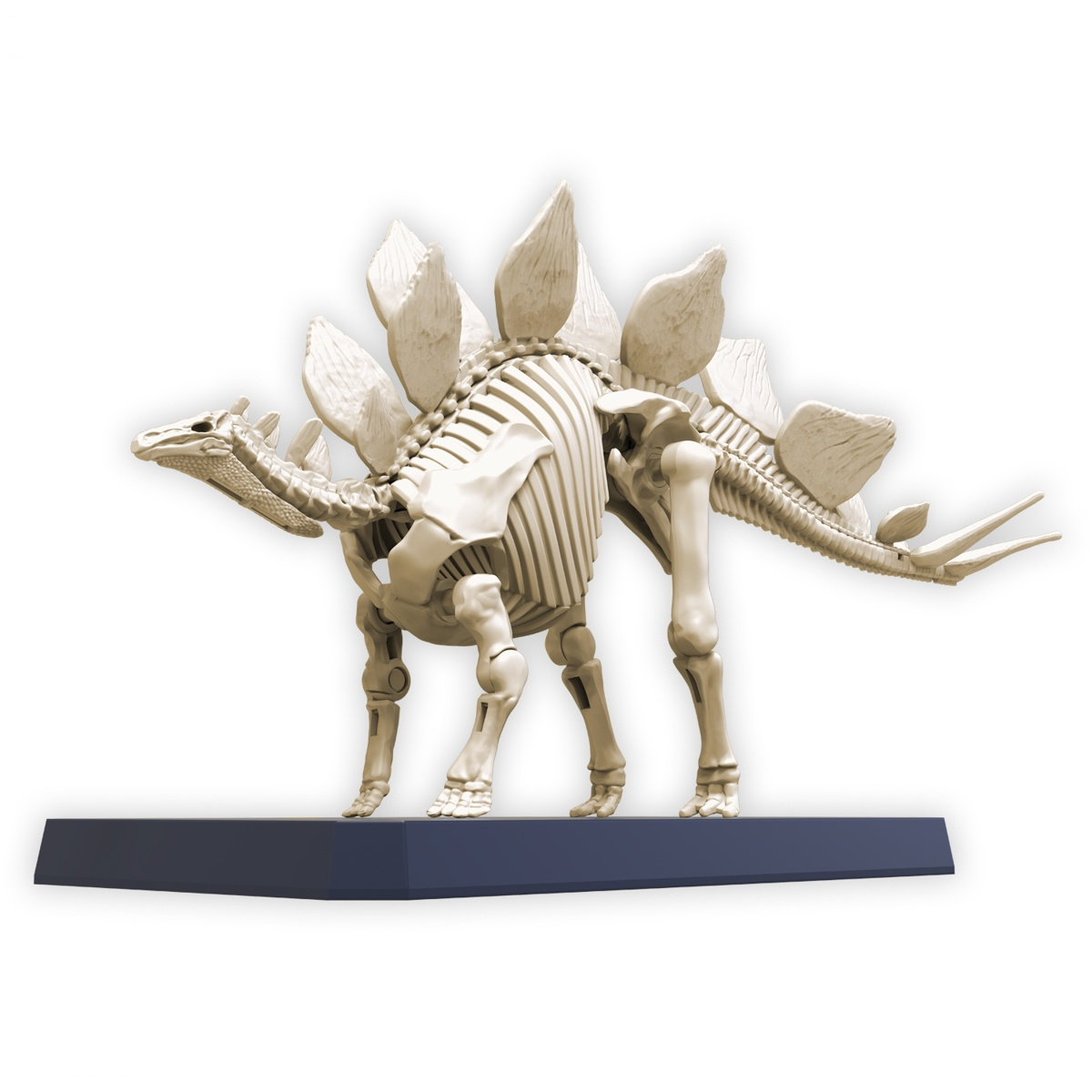 Plannosaurus - Stegosaurus - Préhistorique – Image 3