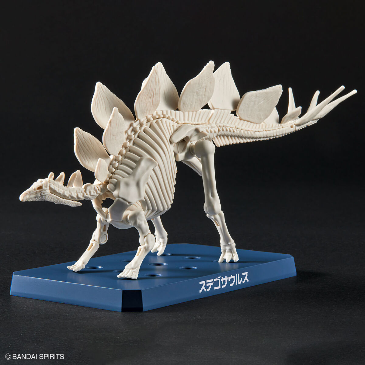 Plannosaurus - Stegosaurus - Préhistorique – Image 7