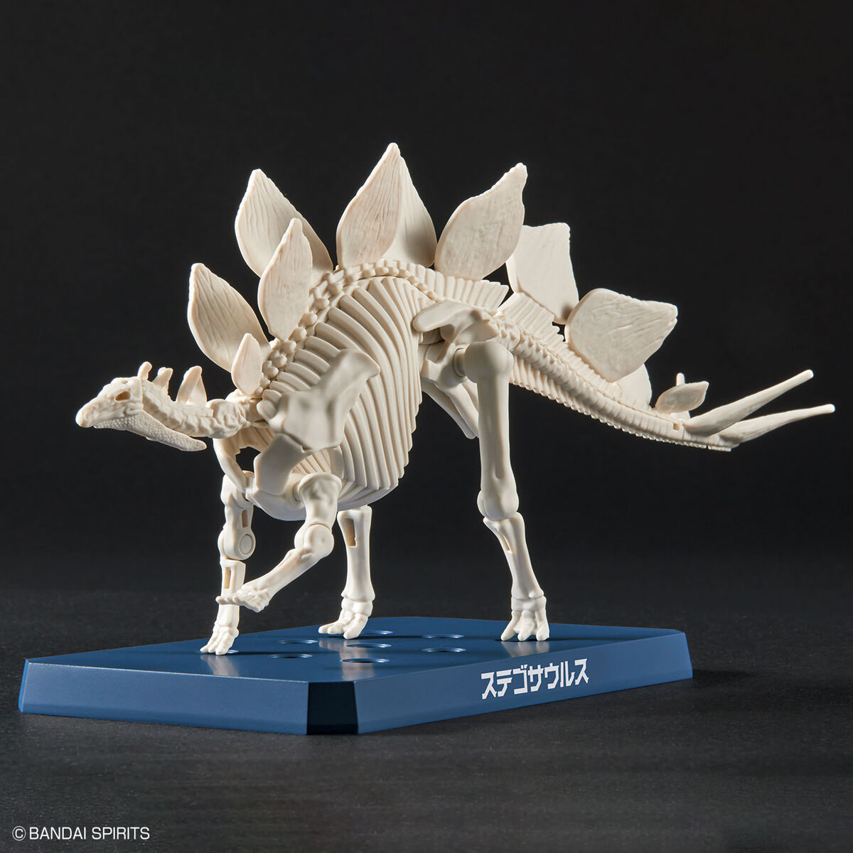 Plannosaurus - Stegosaurus - Préhistorique – Image 8