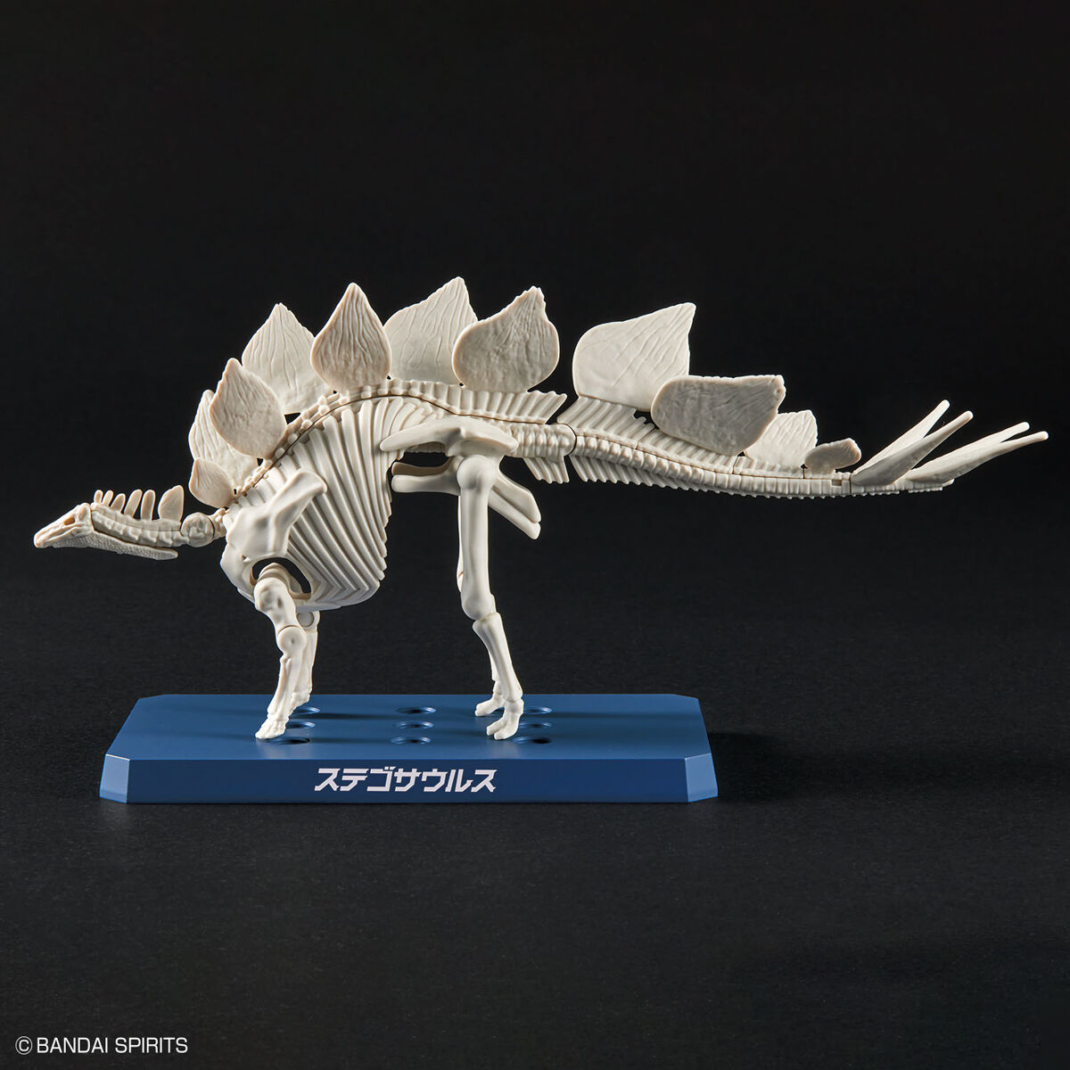 Plannosaurus - Stegosaurus - Préhistorique – Image 9