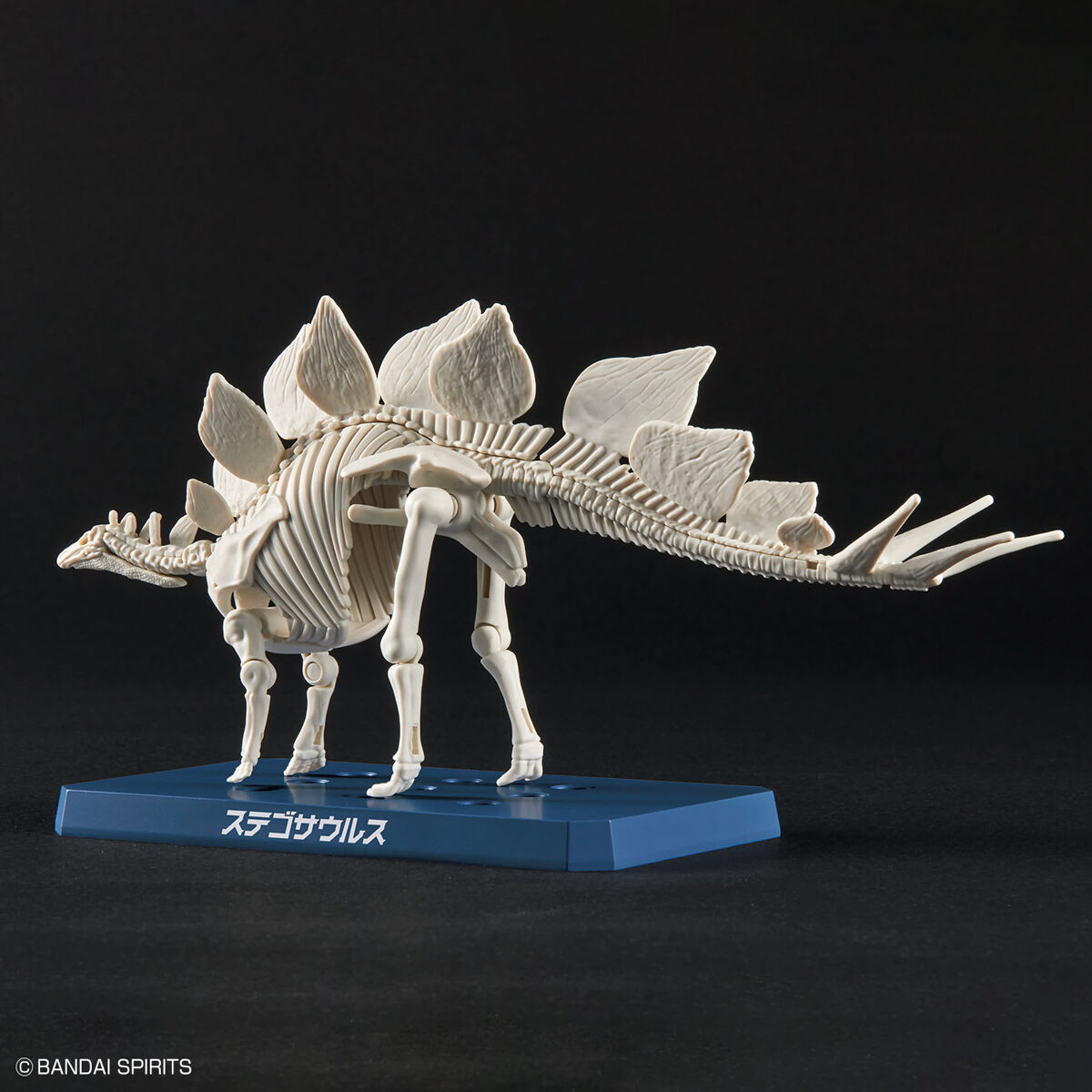 Plannosaurus - Stegosaurus - Préhistorique – Image 10