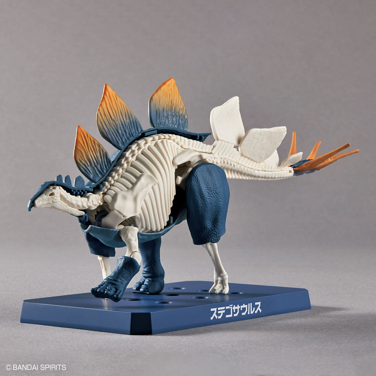 Plannosaurus - Stegosaurus - Préhistorique – Image 11